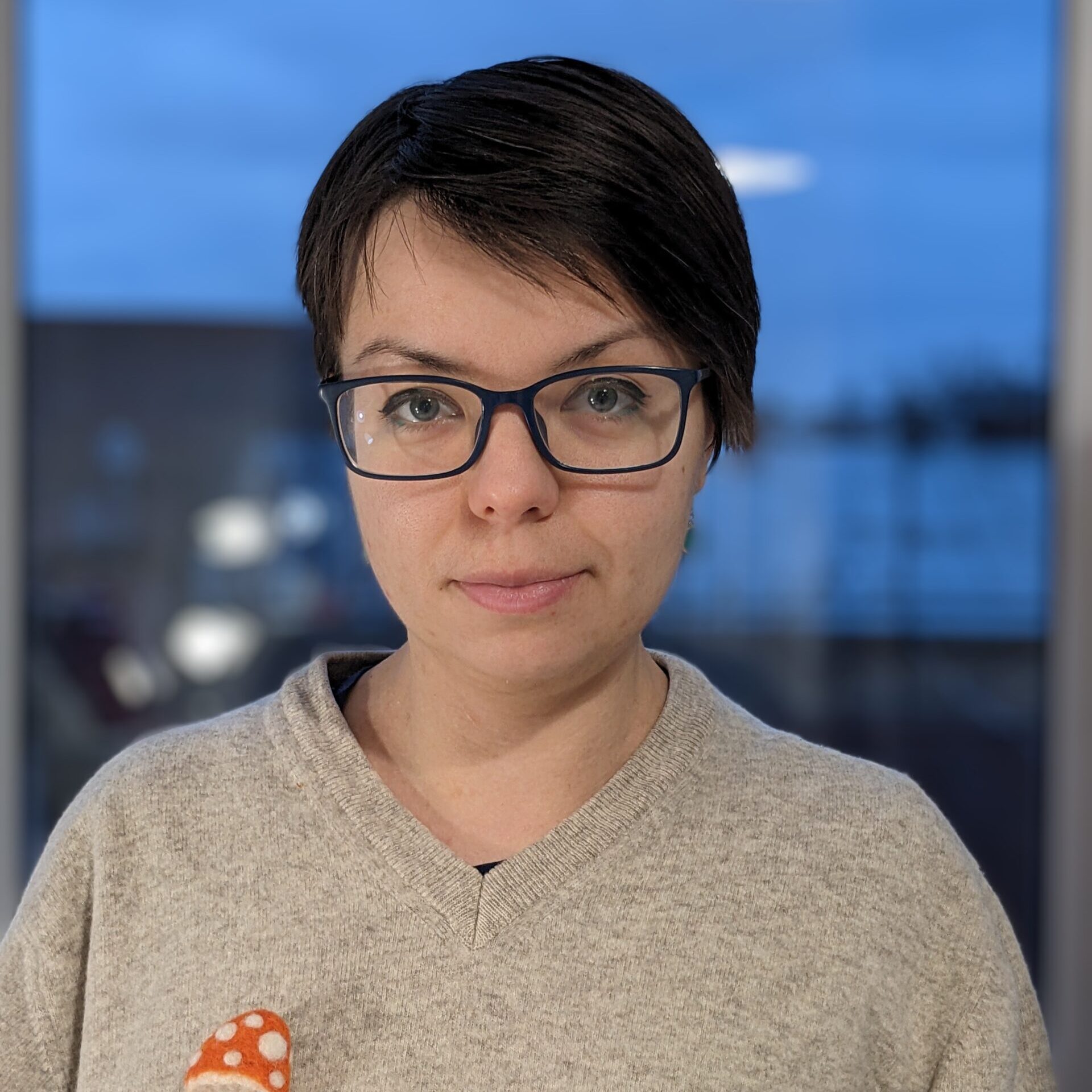 Дар'я Анцибор